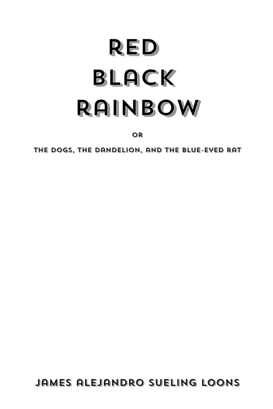 Red Black Rainbow Image